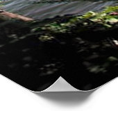 Staat-Park Ozarks Poster (Ecke)