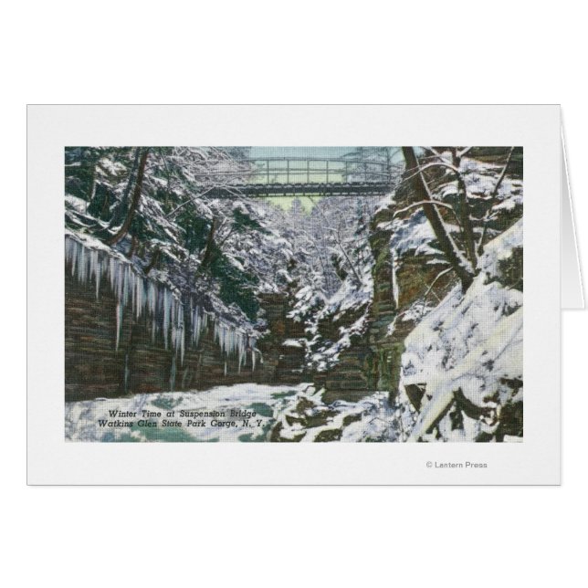 Staat Park Schlucht Hängebrücke Aussicht in (Vorderseite (Horizontal))