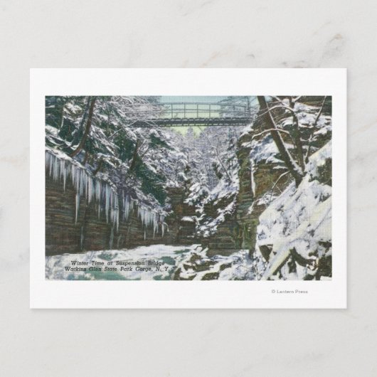 Staat Park Schlucht Hängebrücke Aussicht in Postkarte (Vorderseite)