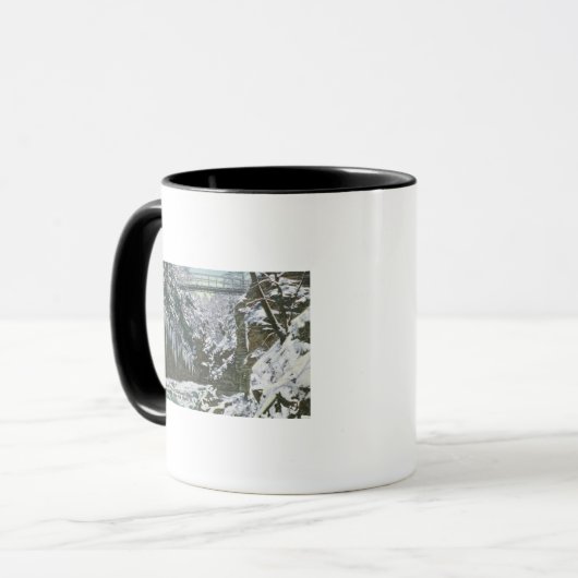 Staat Park Schlucht Hängebrücke Aussicht in Tasse (Vorderseite Links)