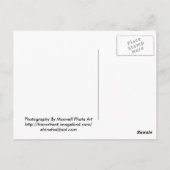 Staat-Tal Postkarte (Rückseite)