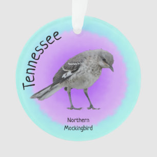 Staat-Vogel in Tennessee Ornament