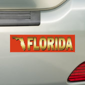 STAAT VON FLORIDA AUTOAUFKLEBER (Auf Auto)