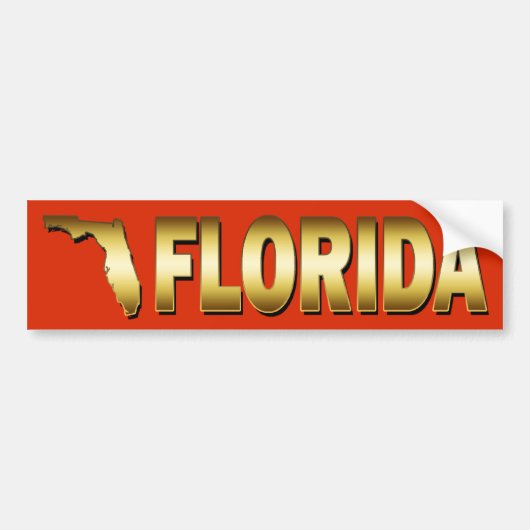 STAAT VON FLORIDA AUTOAUFKLEBER (Vorne)