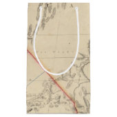 Staat von Kalifornien Kleine Geschenktüte (Vorderseite)