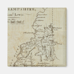 Staat von New Hampshire Magnet