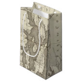Staat von Rhode Island Kleine Geschenktüte (Vorderseite Schrägansicht)