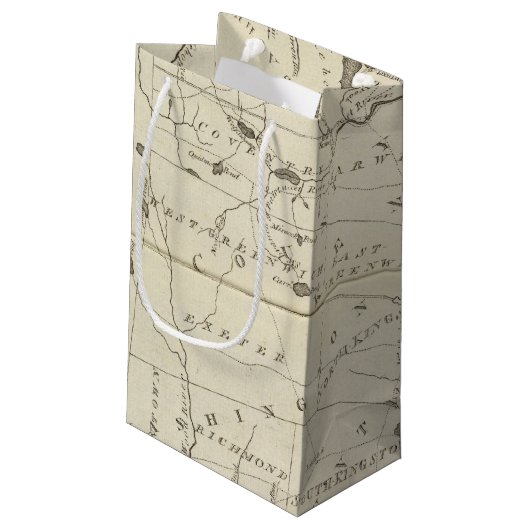 Staat von Rhode Island Kleine Geschenktüte (Rückseite Schrägansicht)