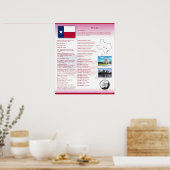 Staat von Texas, TX Posters Poster (Küche)