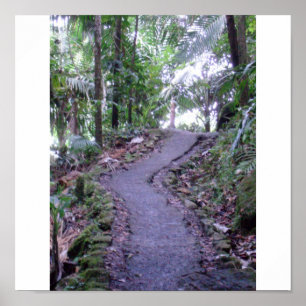 Staatlicher Wald EL Yunque Poster