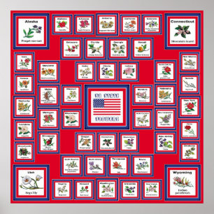 STAATS-BLUMEN RED/560 USA 50 POSTER