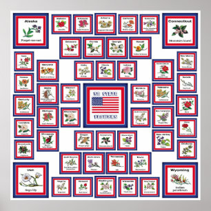 STAATS-BLUMEN WHITE/559 USA 50 POSTER