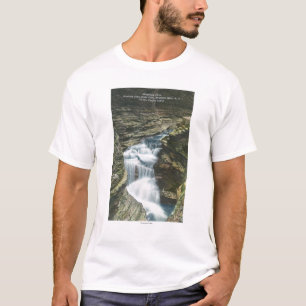 Staats-Park-Ansicht der Diamant-Fälle T-Shirt