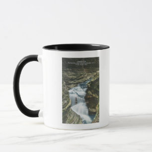 Staats-Park-Ansicht der Diamant-Fälle Tasse