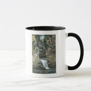 Staats-Park-Ansicht der Vorhang-und Tasse