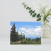 Staats-Park Mt. Mithcell Postkarte (Stehend Vorderseite)