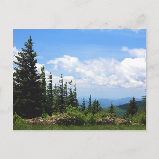 Staats-Park Mt. Mithcell Postkarte (Vorderseite)