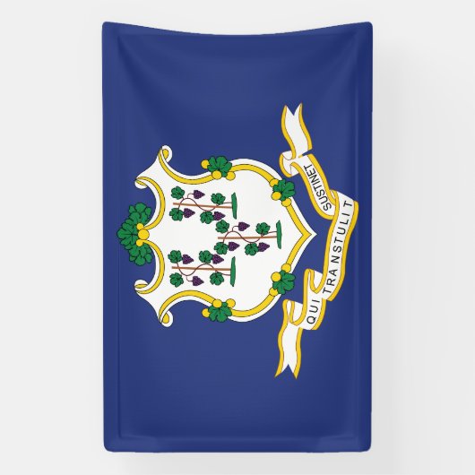Staatsflagge Connecticut Banner (Vertikal)