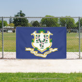 Staatsflagge Connecticut Banner (InSitu)