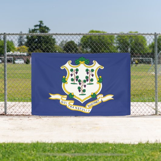 Staatsflagge Connecticut Banner (InSitu)