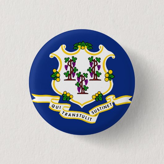 Staatsflagge Connecticut Button (Vorderseite)