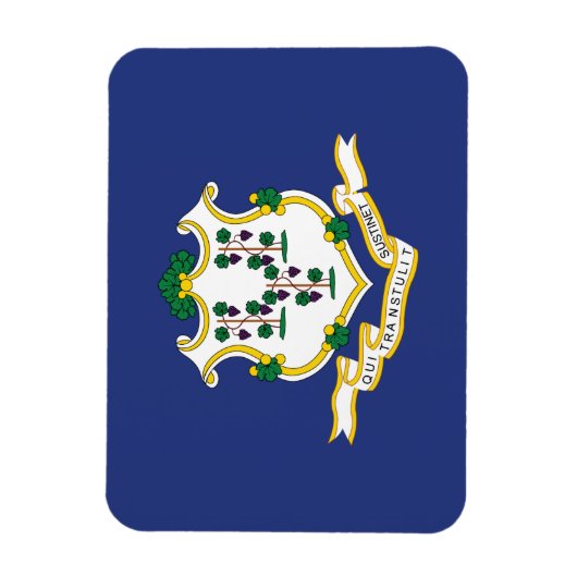 Staatsflagge Connecticut Magnet (Vertikal)