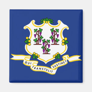 Staatsflagge Connecticut Magnet