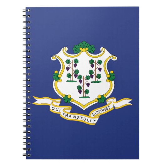 Staatsflagge Connecticut Notizblock (Vorderseite)