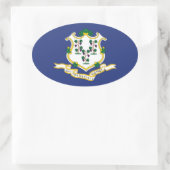 Staatsflagge Connecticut Ovaler Aufkleber (Tasche)