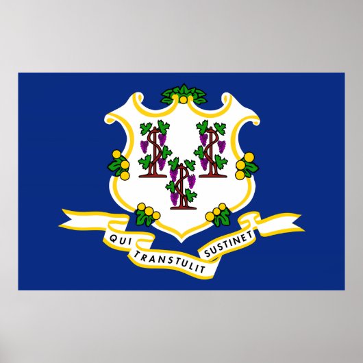 Staatsflagge Connecticut Poster (Vorne)