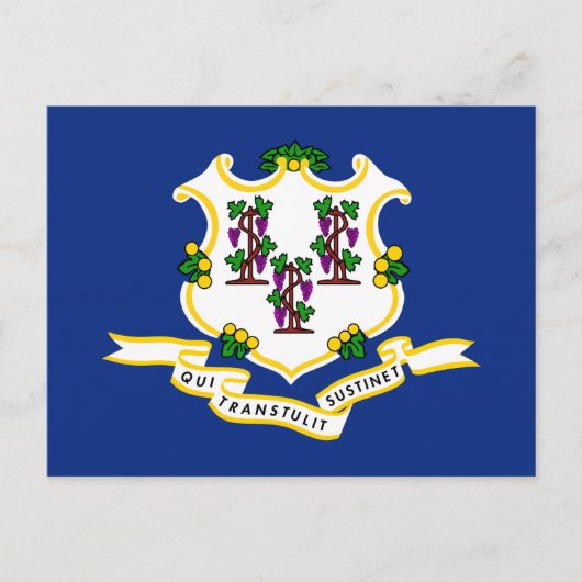 Staatsflagge Connecticut Postkarte (Vorderseite)