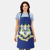 Staatsflagge Connecticut Schürze (Getragen)