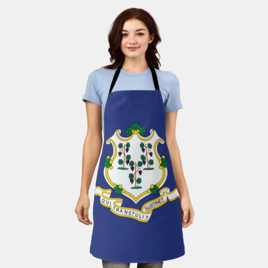 Staatsflagge Connecticut Schürze (Getragen)