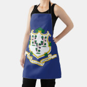 Staatsflagge Connecticut Schürze (InSitu)