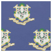 Staatsflagge Connecticut Stoff (Nahaufnahme)