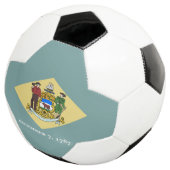 Staatsflagge Delaware Fußball (Dreiviertel)