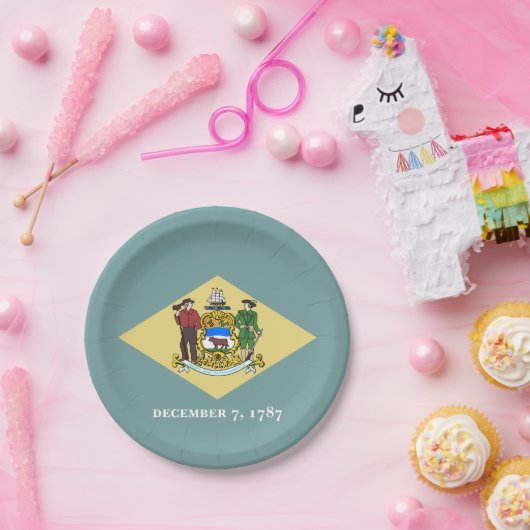 Staatsflagge Delaware Pappteller (Party)