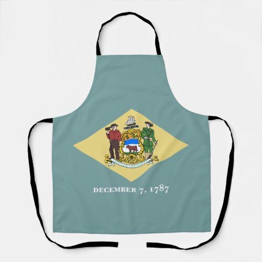 Staatsflagge Delaware Schürze (Vorderseite)