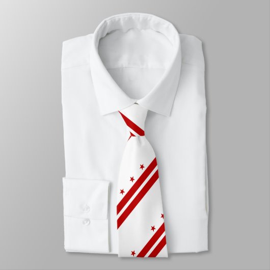 Staatsflagge der Washington DC Krawatte (Gebunden)