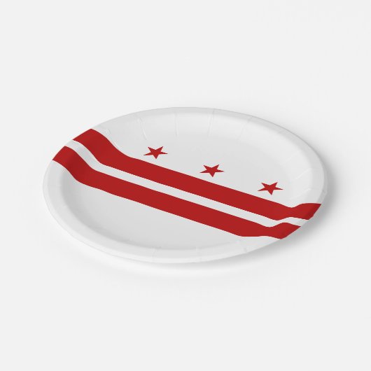 Staatsflagge der Washington DC Pappteller (Schrägansicht)