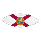 Staatsflagge Florida Football (Panel)