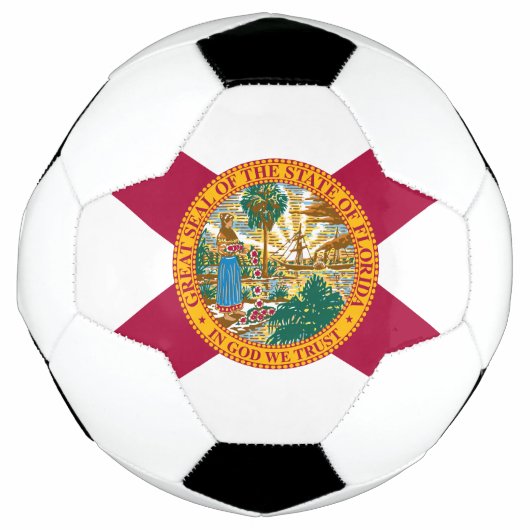 Staatsflagge Florida Fußball (Vorderseite)