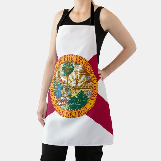 Staatsflagge Florida Schürze (InSitu)