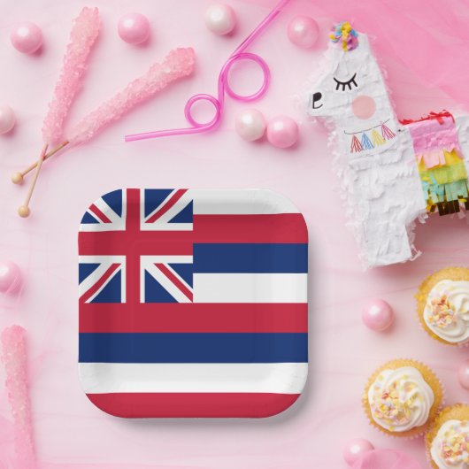 Staatsflagge Hawaii Pappteller (Party)