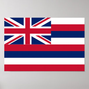 Staatsflagge Hawaii Poster