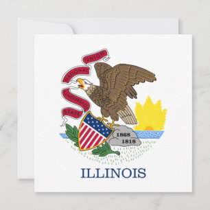 Staatsflagge Illinois Karte