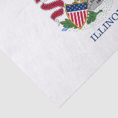 Staatsflagge Illinois Seidenpapier (Ausschnitt)