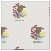 Staatsflagge Illinois Stoff (Nahaufnahme)