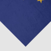 Staatsflagge in Indiana Seidenpapier (Detail)