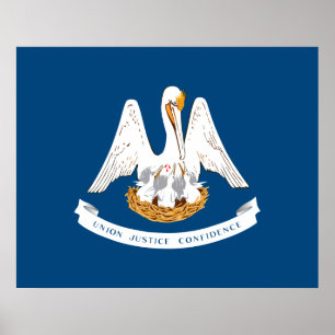 Staatsflagge in Louisiana Poster